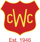 WAYBACK CRICKET CLUB